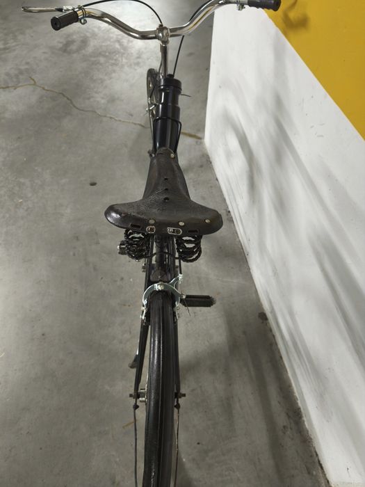 Bicicleta Robin wood