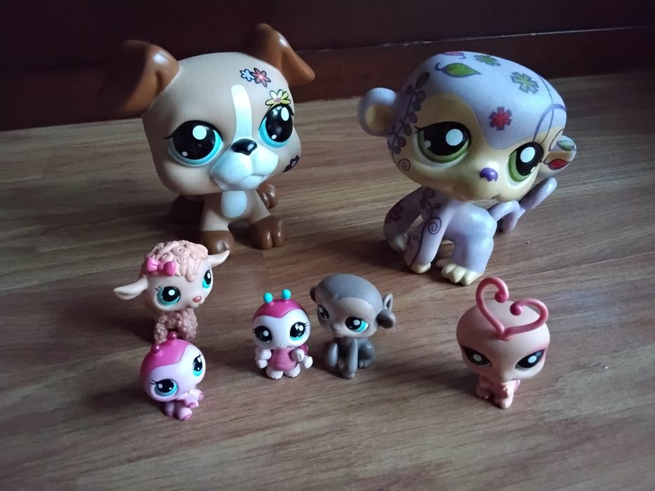 Pets grandes e pequenos