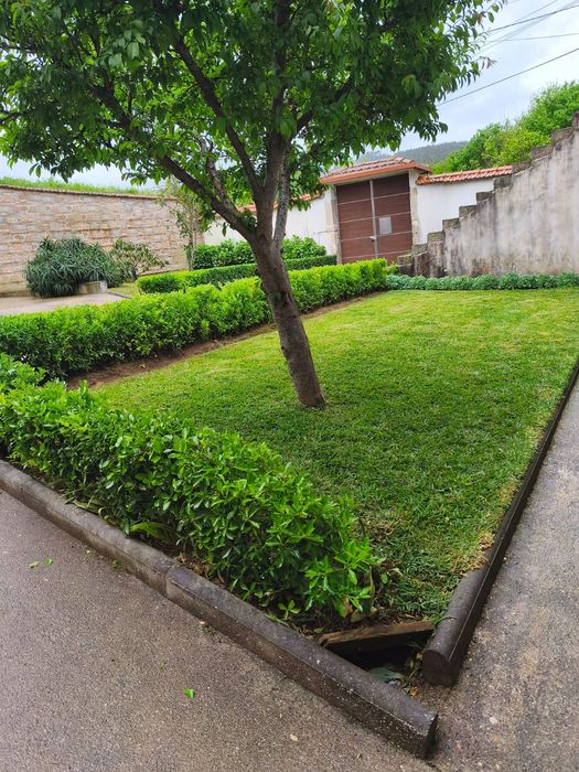 Manutenção  limpeza jardins