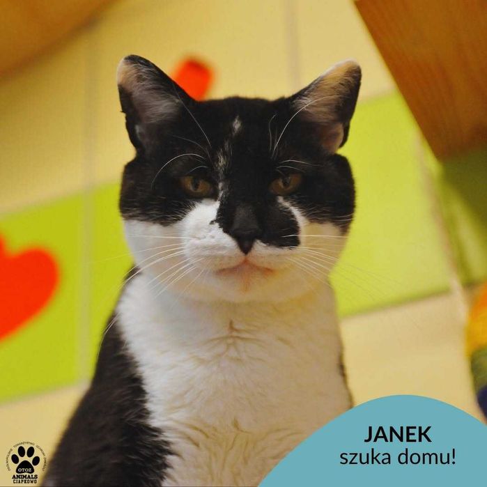 Janek nie może sie doczekać swojego domu ! OTOZ Animals Ciapkowo