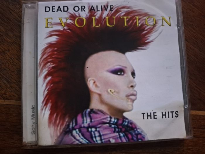 CD Dead or Alive - Evolution.The Hits 2003 Sony unofficial