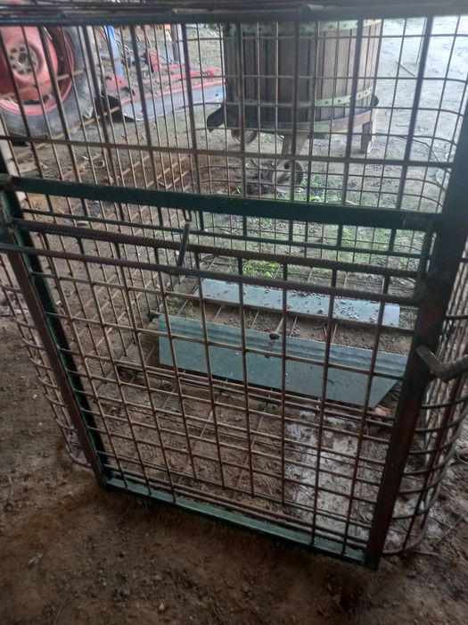 Jaula em ferro para apanhar animais