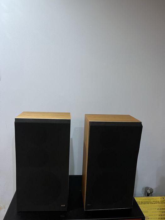 Bang Olufsen beovox S45