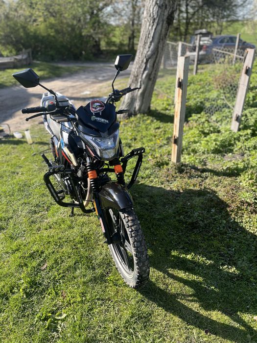 MYSTANG 200 присутній торг