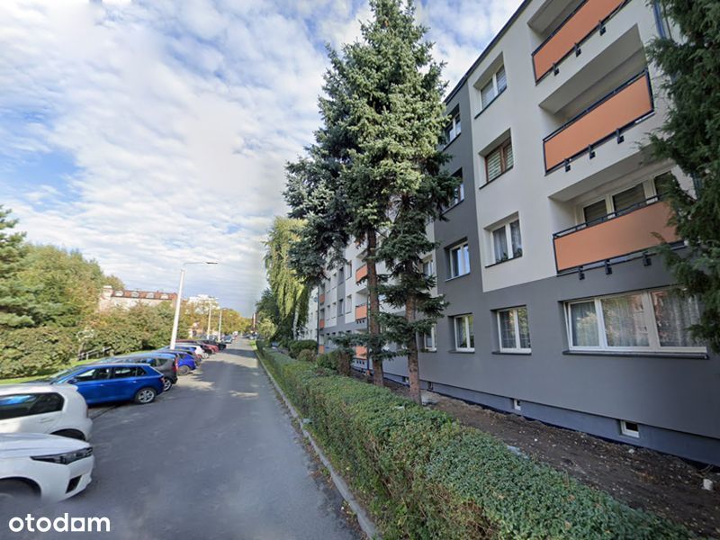 Słoneczne, Funkcjonalne I Stylowe | 45 M² | 1 Piętro