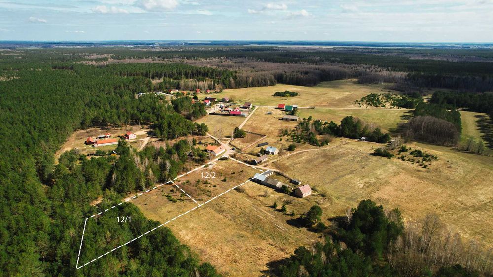 Działka rolna z WZ w Biebrzańskim Parku Narodowym / Sojczynek 3000 m² - Widok 3