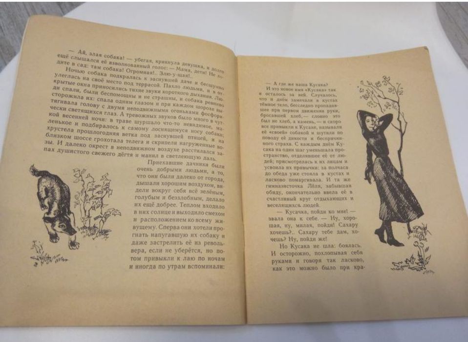 Ід стан 1967 Л.Н.Андреев Петька на даче. Кусака