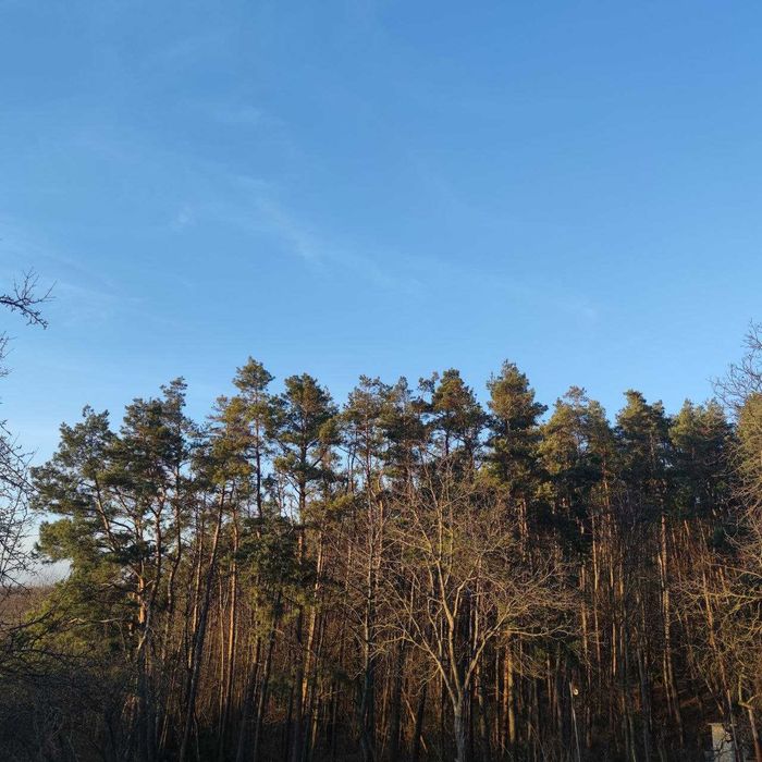 Продам ділянку під будівництво біля лісу!