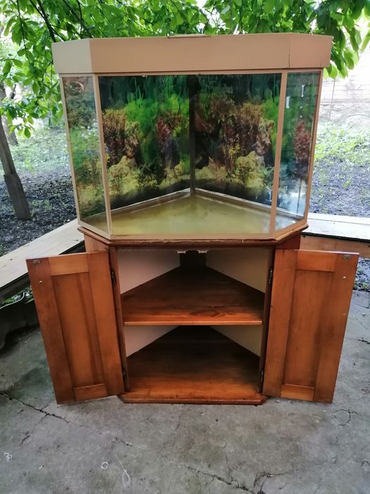 Аквариум угловой 150 литров с тумбой.
