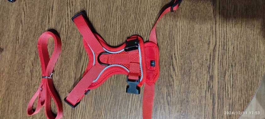 Szelki dla kota lub małego psa