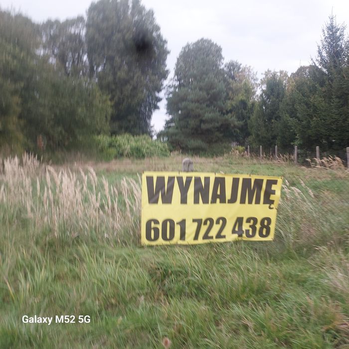 Do wynajęcia ogrodzona działka 972 m² plus garaż Gościęcin - Widok 5