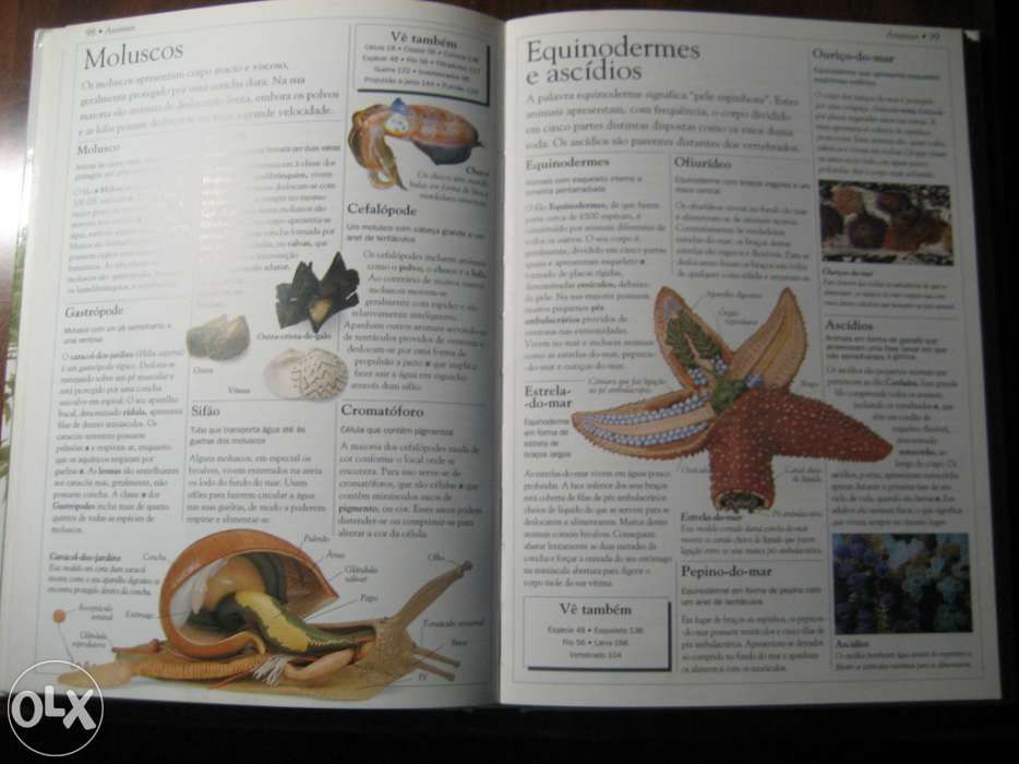 Dicionario Escolar DA Natureza