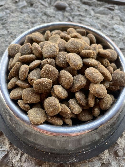 Сухий корм для собак Dog Like 10кг