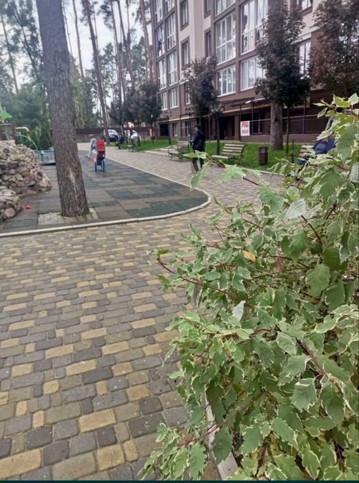 Оренда комерційної приміщення