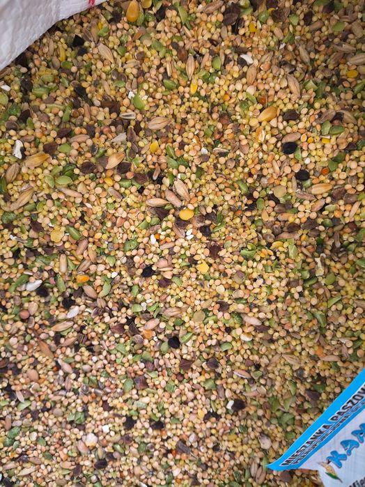Karma dla gołębi mieszanka drobnych ziaren 25kg