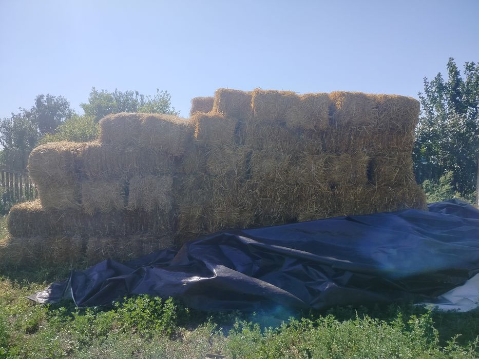 Продам тюки соломи