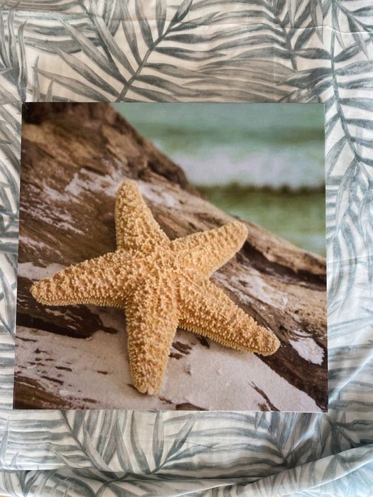 Quadros com motivos marinhos64550772075779121