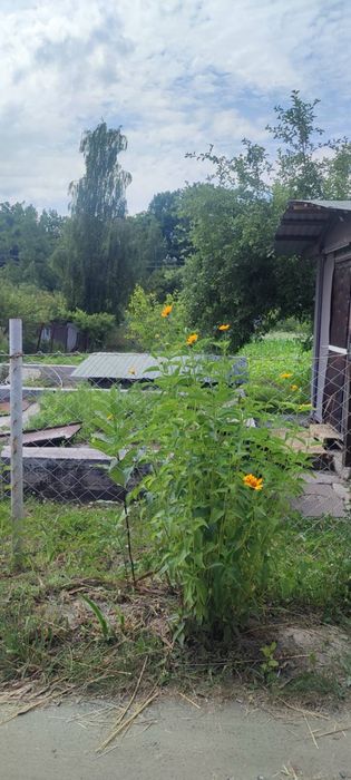 Продам будиночок з залитим фундаментом 7*5,5 м с.Сулимівка (дачний кооператив)