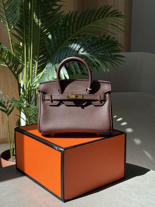Сумка Hermes Birkin 20 Brown/Gold
