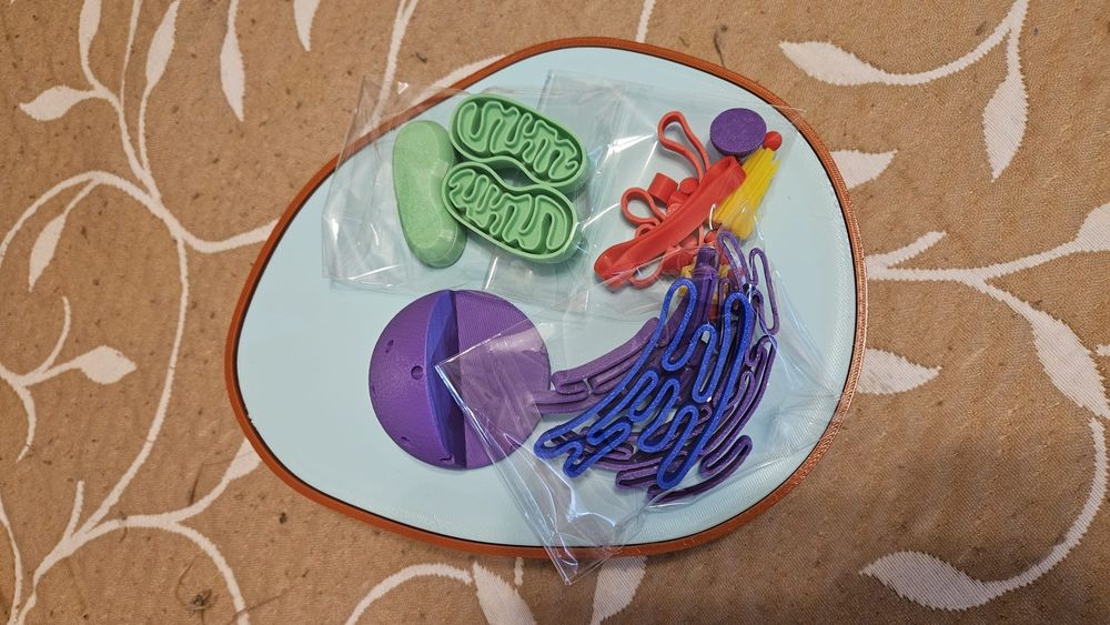 Celula animal para estudos