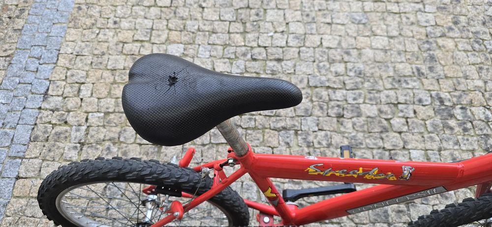 Bicicleta criança Roda 20