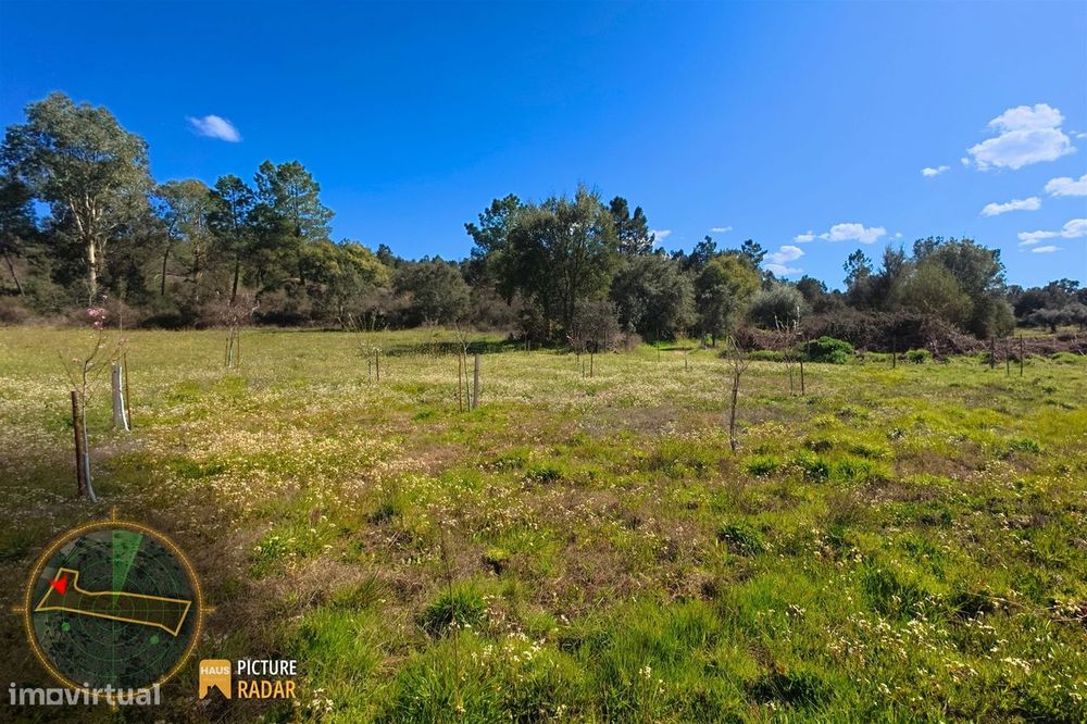 Terreno 1.1ha com Ruína e Vale Fértil | Cafede, Castelo Branco