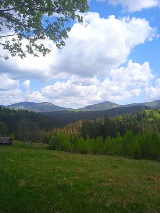 Продаж земельної ділянки під забудову с Вишків