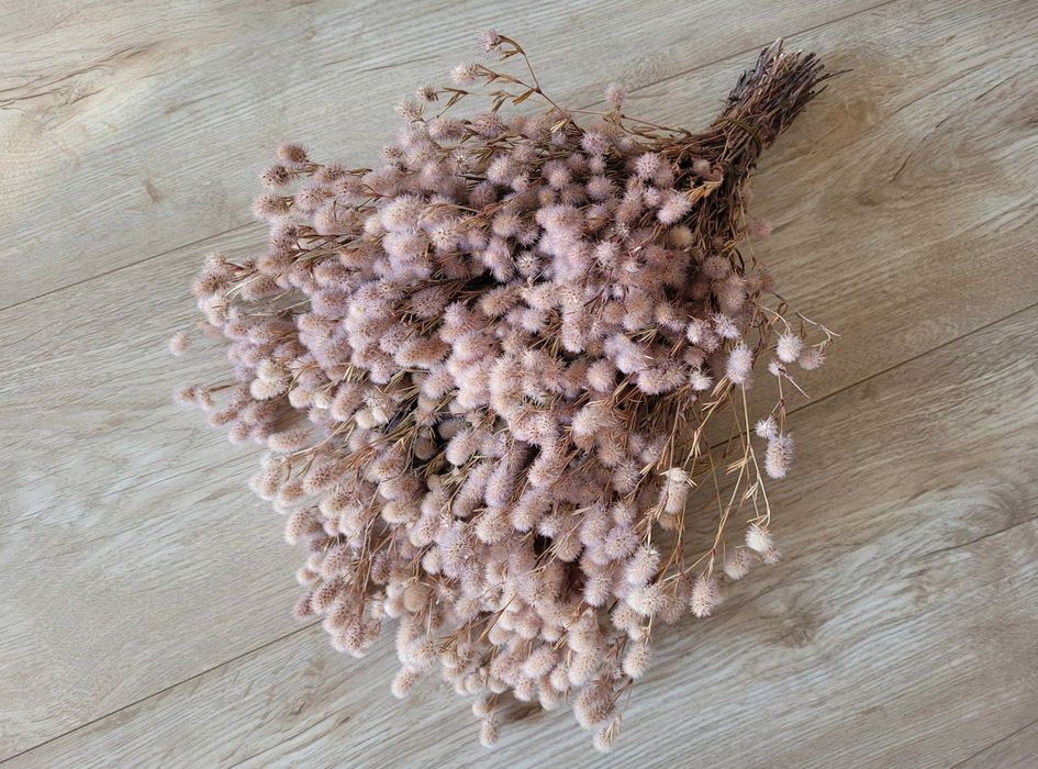 Muszle (winniczek) dekorowane, suszone kwiaty na wianki