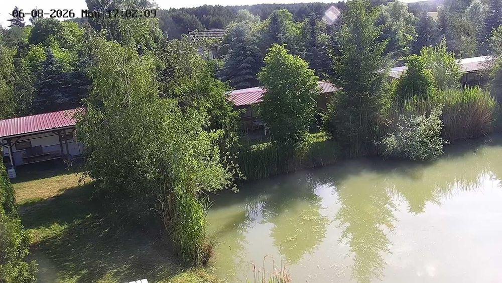 Gotowy biznes - Fisch Camp Ownice -łowisko komercyjne - Widok 3