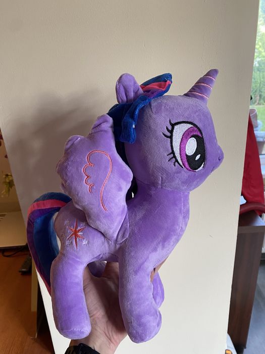 Kucyk my little ponny