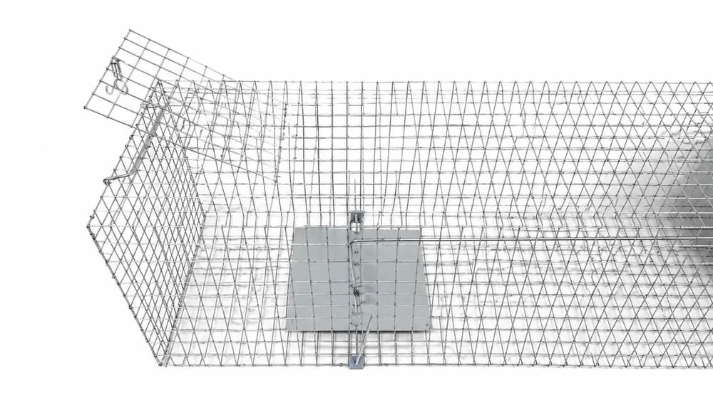 ХІТ продажу! Живоловка 120×33×37 см — надійна пастка на куниць, ласок, пацюків і котів | Надійність Зручність