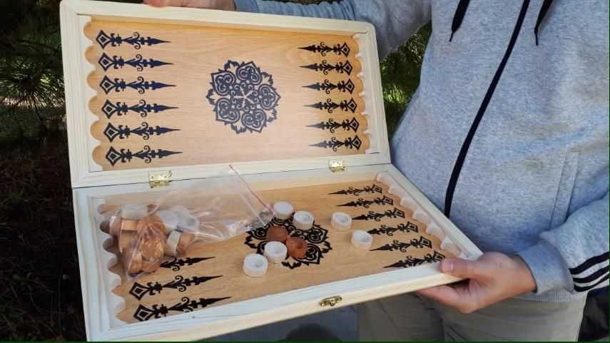 Нарды игровые, настольная игра, фишки дерево бук