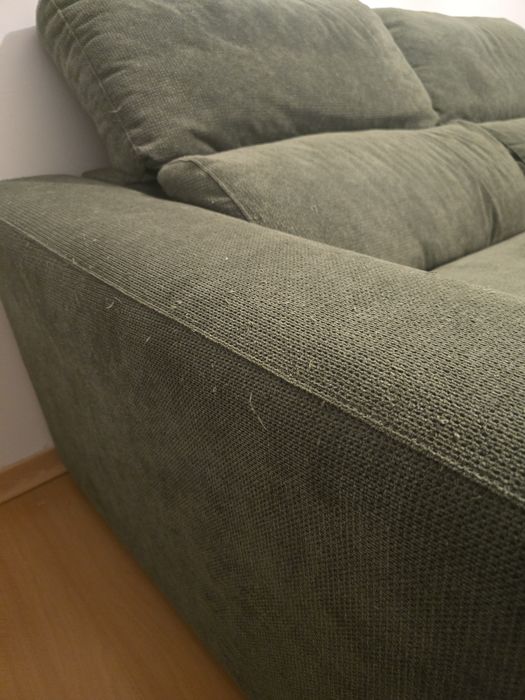 Sofá Cama - Gato preto verde