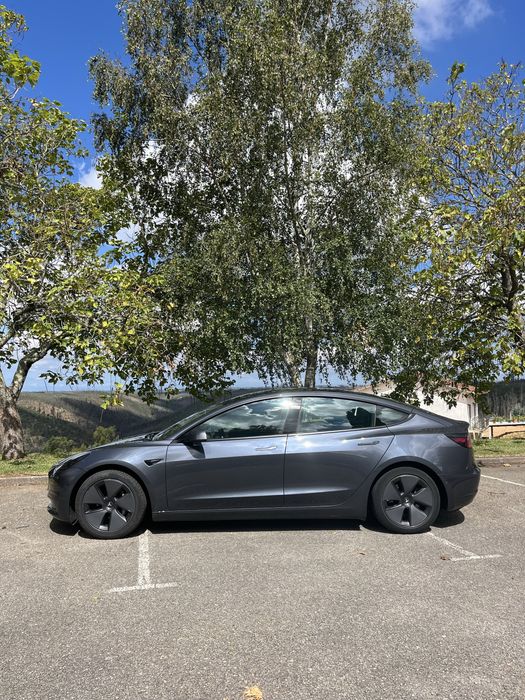 Tesla Model 3 Standart RWD Plus