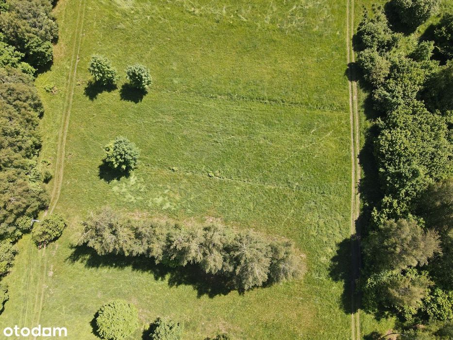 Na sprzedaż widokowa działka rolna 1271 mkw w miejscowości Kocoń.
