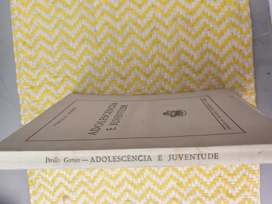 Adolescência e Juventude –  Perillo Gomes