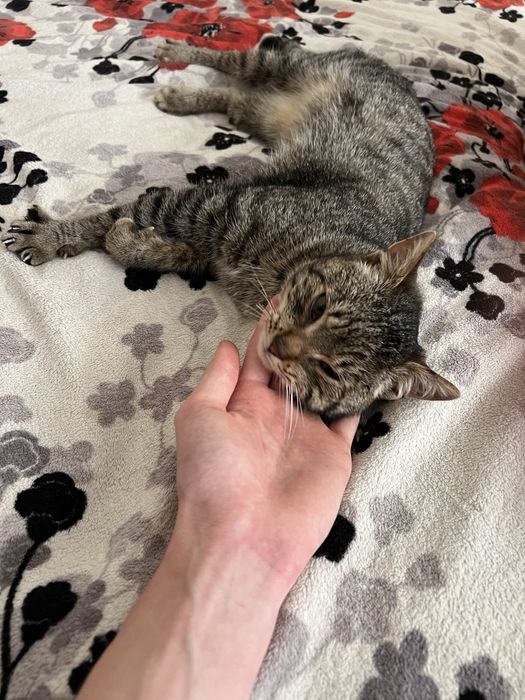 Хлопчик шукает родину