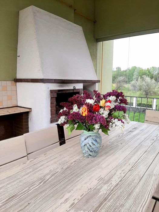 Світлий та в гарному місці будинок Дахнівка