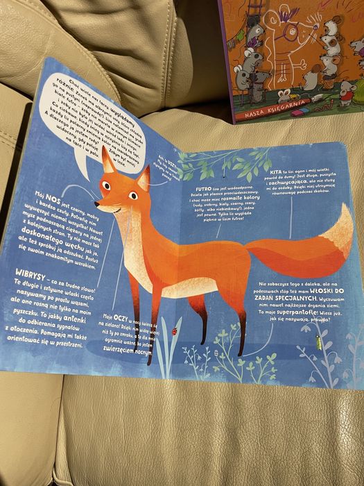 Nowy zestaw książek Opowiem ci mamo co robią myszy lisy owce