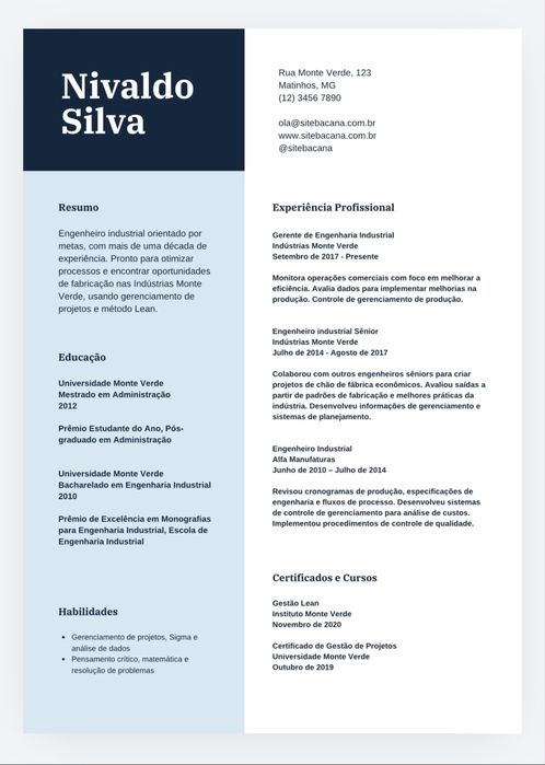 CV e Carta de Motivação Profissional — Entrega em 24h