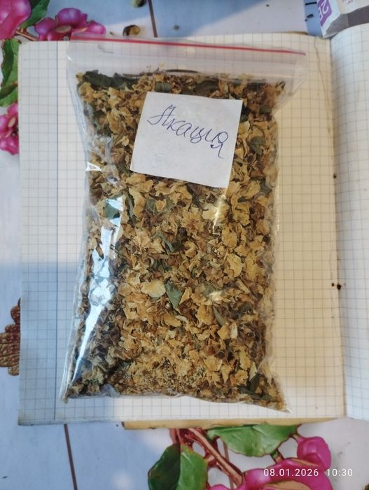 Цикорій троянда чебрець акація піон одуванчик