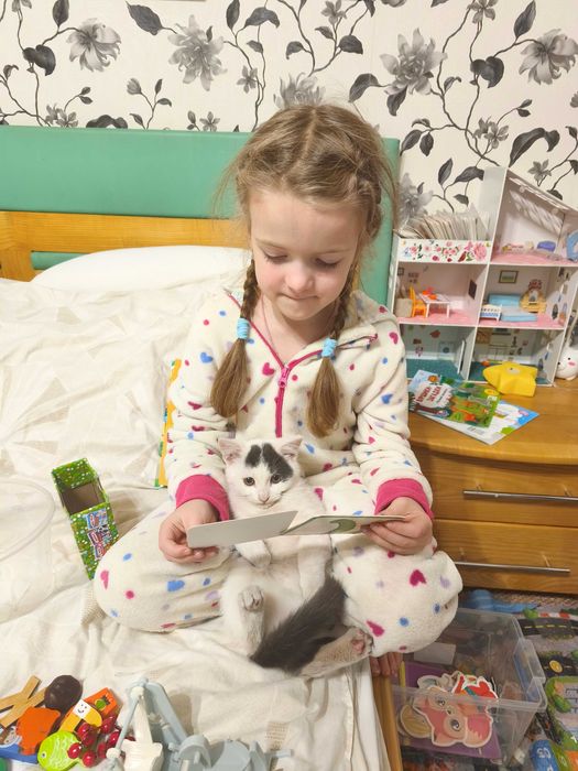 Киця в добрі руки