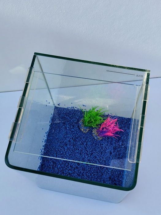 Aquário Tanque 10L