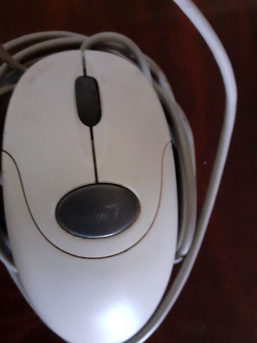 мышка для компьютера