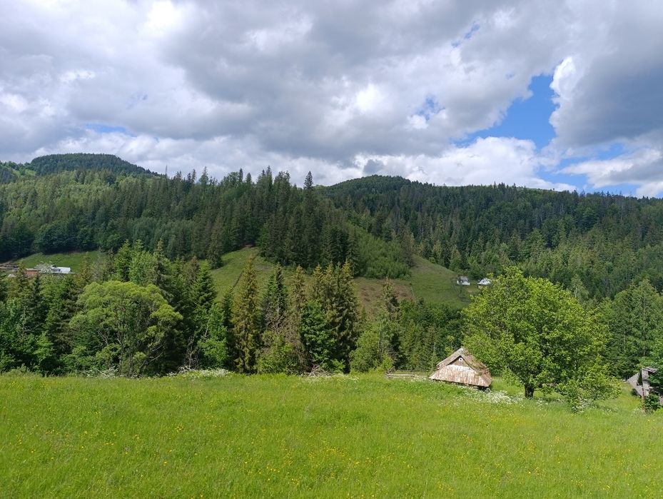 Земельна ділянка 0,63 га в Карпатах | Снідавка, Косівський район | 35 000 $