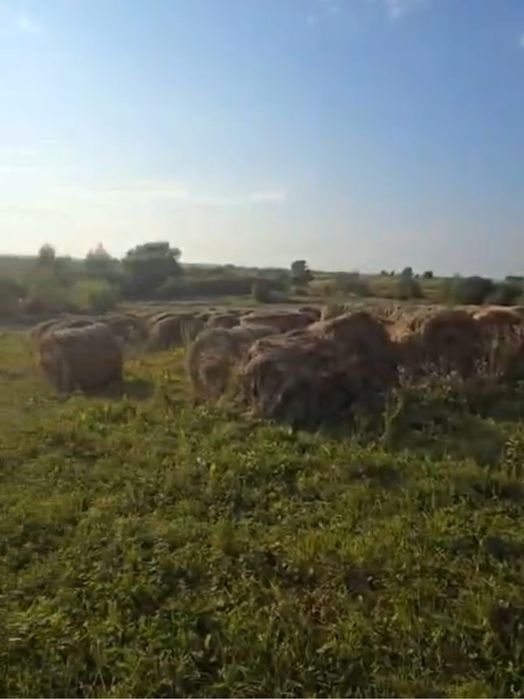 Продаж ділянки під будівництво газ, світло, інтернет