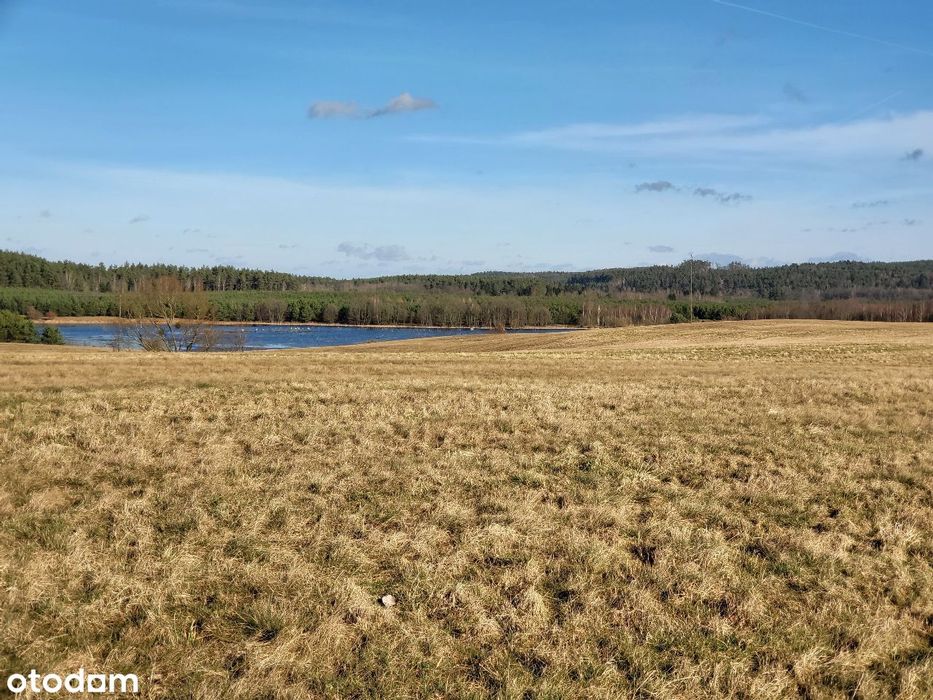 działki budowlane - Widok 2