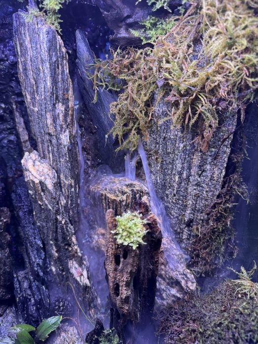 PALUDARIUM 60x45x45 komplet tanio Wawa rośliny sprzęt hydraulika