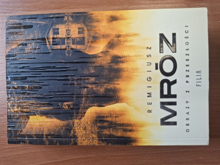 Remigiusz Mróz Obrazy z przeszłości