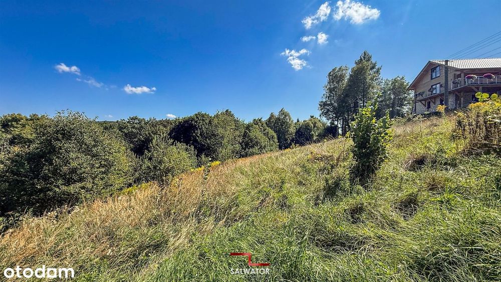 Widokowa na las 15 ar Paczółtowice gm. Krzeszowice - Widok 5